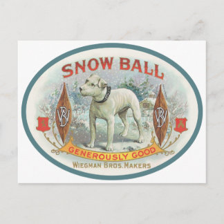 Postal Bolas de nieve para el perro