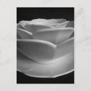 Postal Bolas de Petal de flores