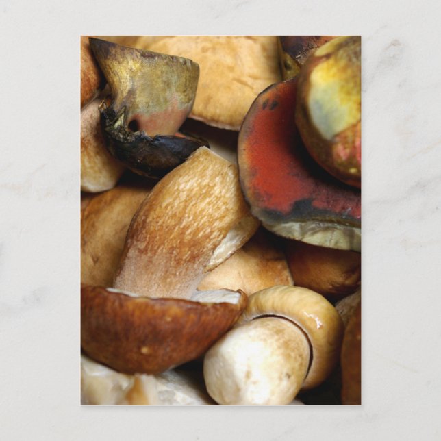 Postal boletus (Anverso)