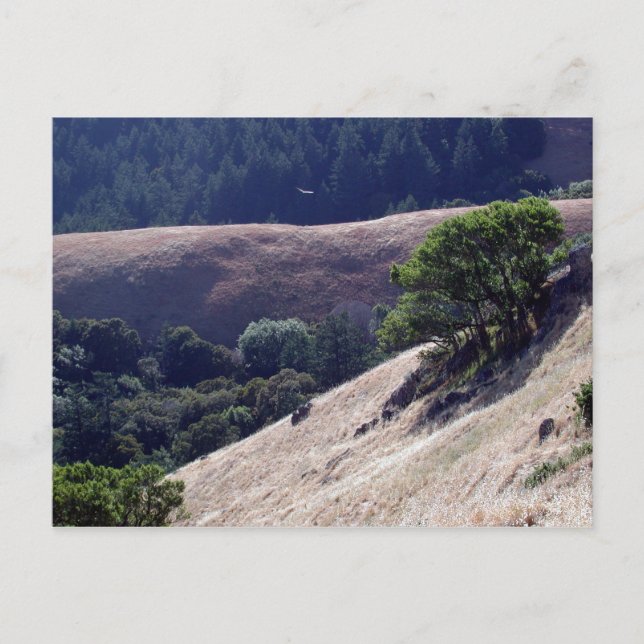 Postal Bolinas Ridge, California (Anverso)