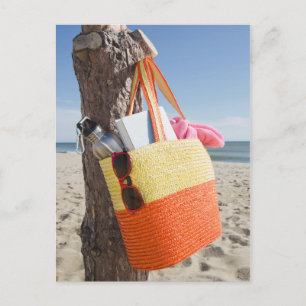 Postal Bolsa Colgada En El Tronco Del Árbol En La Playa D