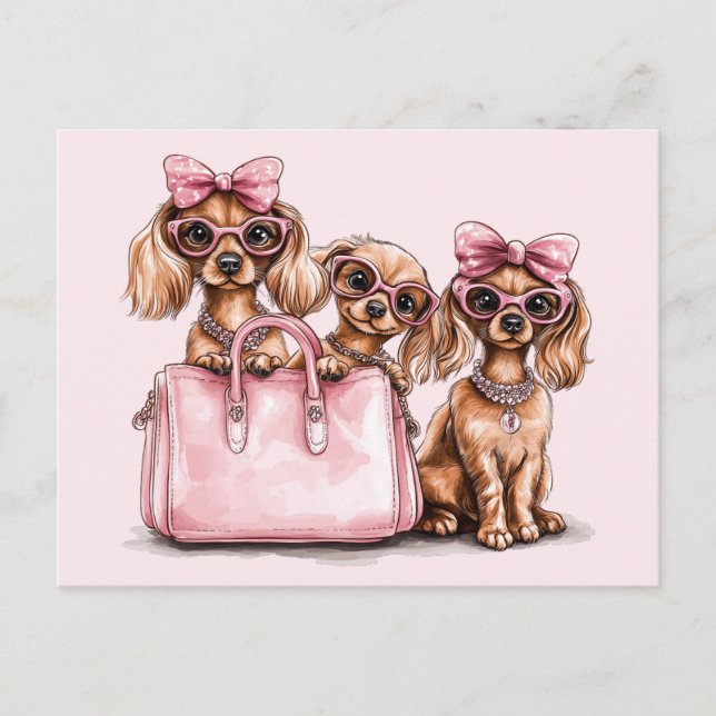 Postal Bolsa rosa de los perros Dachshund (Anverso)