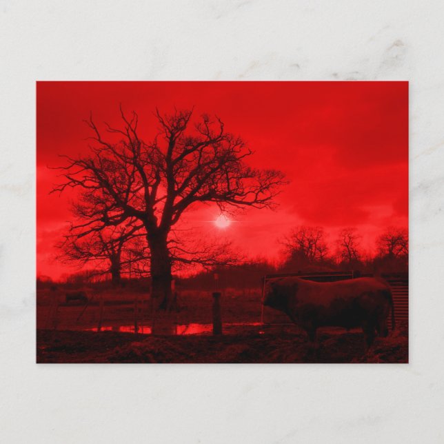 POSTAL BOLSAS (Anverso)