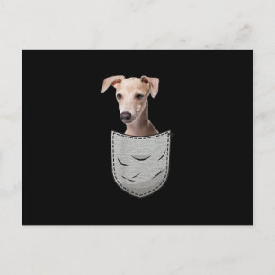 Postal Bolsillo de torta de azote de galgo para perro