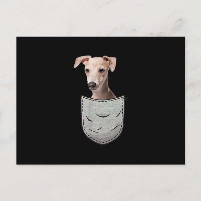 Postal Bolsillo de torta de azote de galgo para perro (Anverso)