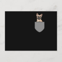 Bolsillo del Bulldog francés