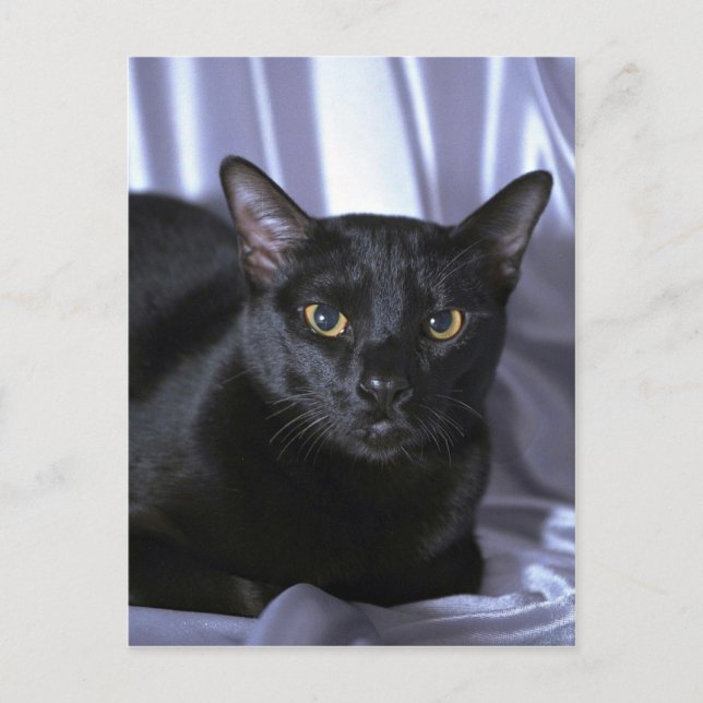 Postal Bombay (Anverso)