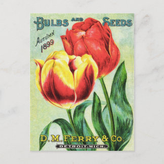 Postal Bombillas y tulipanes rojos y amarillos