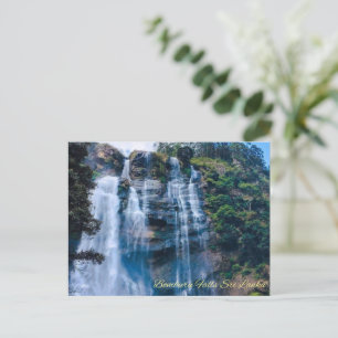 Postal Bomburu cae en Sri Lanka - Fotografía natural