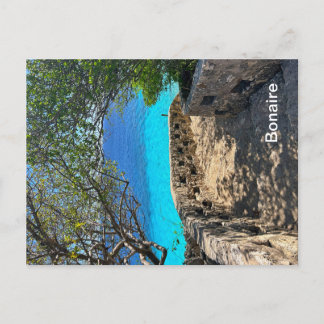 Postal Bonaire Postcard