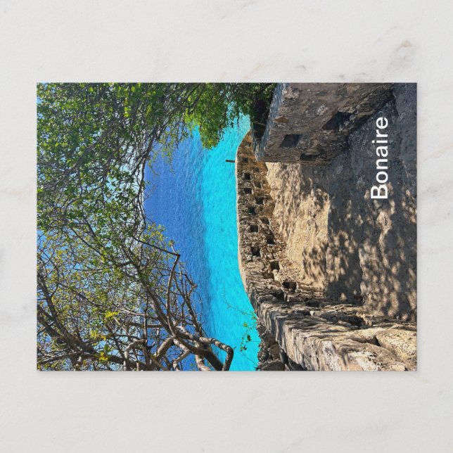 Postal Bonaire Postcard (Anverso)