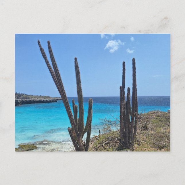Postal Bonaire Seaview (Anverso)