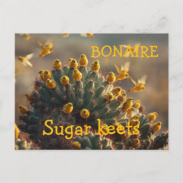 Postal Bonaire sugarkeets