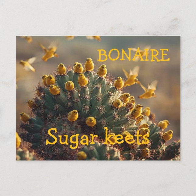 Postal Bonaire sugarkeets (Anverso)