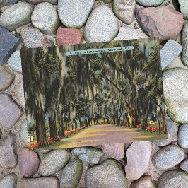 Postal Bonaventure Drive Savannah GA retro