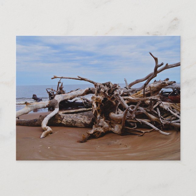 Postal Boneyard Beach (Anverso)
