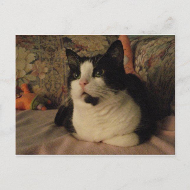 POSTAL BONGO (Anverso)