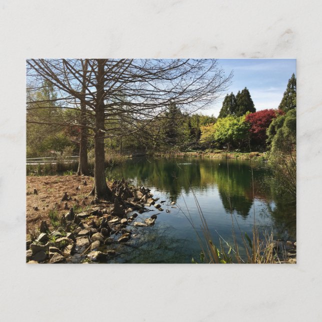 Postal Bonita foto de un lago (Anverso)
