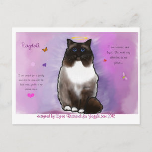 Postal Bonita Ragdoll