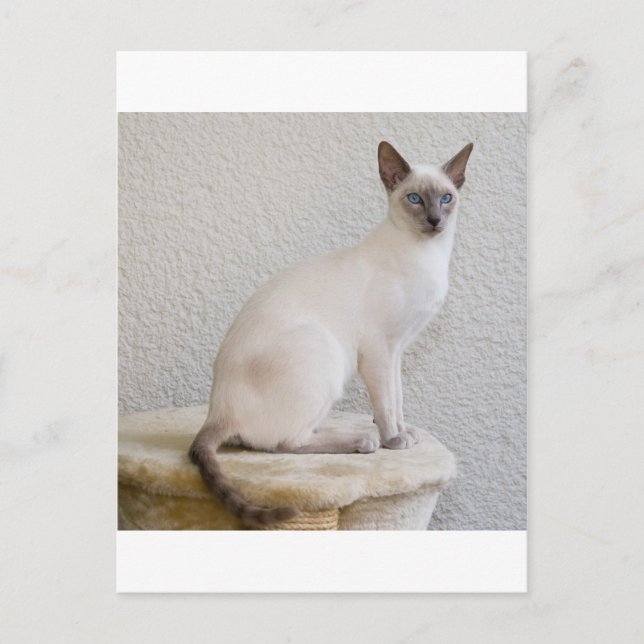 Postal Bonito (Anverso)