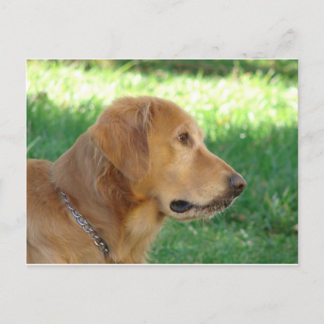 Postal Bonito (Anverso)