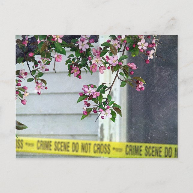 Postal Bonito (Anverso)