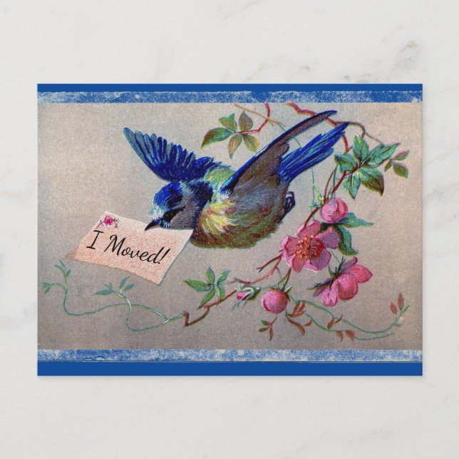 Postal Bonito Bluebird I Moved Postcard (Anverso)