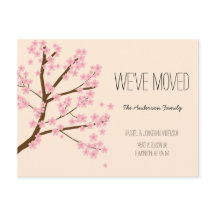 Bonito Cerezo en flor Sakura Árbol que hemos mudad