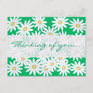 Postal Bonito Daisies
