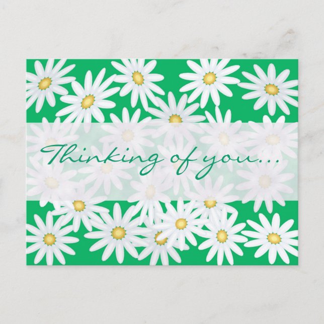 Postal Bonito Daisies (Anverso)