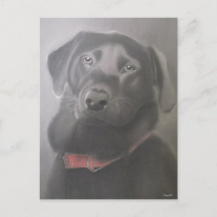 Postal Bonito dibujo de Labrador Recuperador