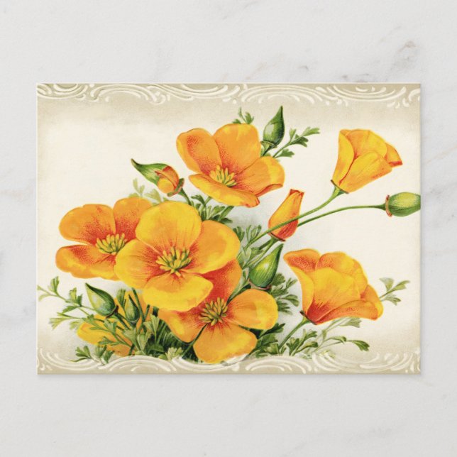 Postal Bonito Flores Amarillas Vintage (Anverso)