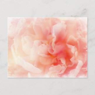 Postal Bonito Fluffy Pink Peony