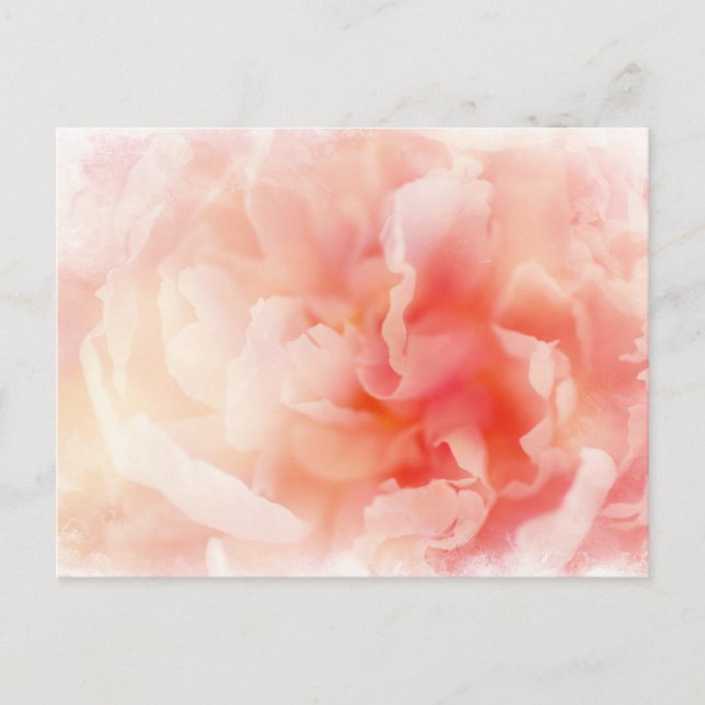 Postal Bonito Fluffy Pink Peony (Anverso)