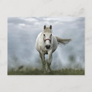Postal Bonito foto en nube de caballos blancos
