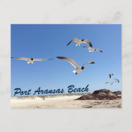 Postal Bonito fotográfica de Gaviota Port Aransas Beach