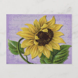 Postal Bonito girasol en la música a la vista