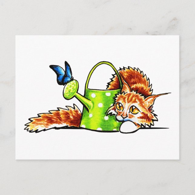 Postal Bonito Naranja Stealthy Tabby Maine Coon (Anverso)