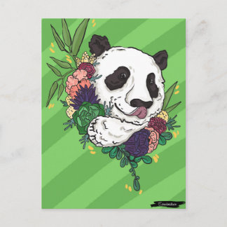 Postal Bonito Panda