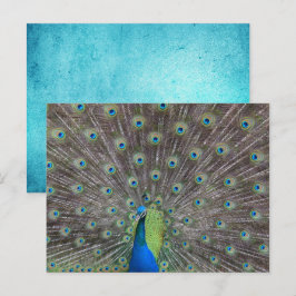 Postal Bonito Peacock