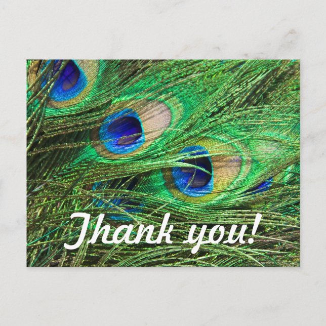 Postal Bonito Peacock (Anverso)