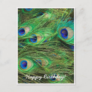 Postal Bonito Peacock