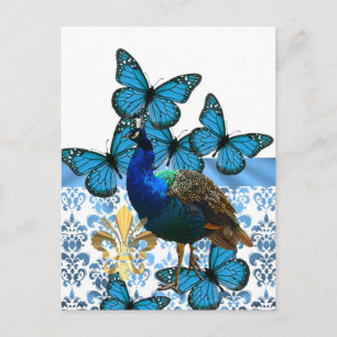 Postal Bonito Peacock y mariposas azules