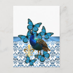 Postal Bonito Peacock y mariposas azules