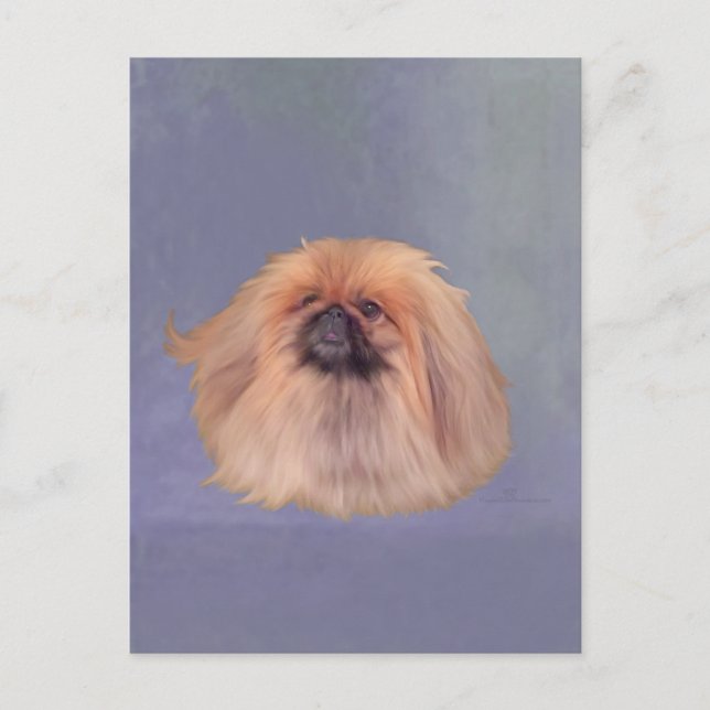Postal Bonito Pekingese (Anverso)