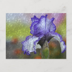 Postal Bonito Purple Iris