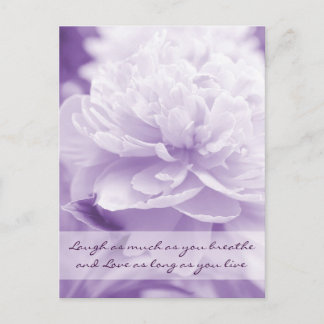 Postal Bonito Púrpura Peony