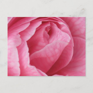 Postal Bonito rosa