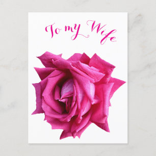 Postal Bonito rosa rosa caliente floral Feliz amor de San