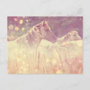 Postal Bonito silvestre Mustang Gold Sparkles Horse